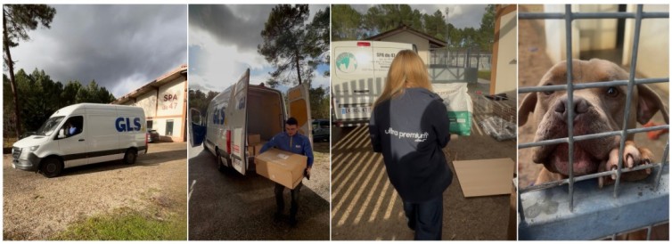 Tournée solidaire de GLS et Ultra Premium Direct à la SPA du 47 : livraison de repas pour animaux, bénévoles à l'œuvre et chiens en attente d’adoption.